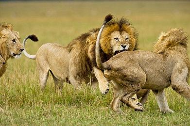 悬疑视觉小说《岩仓亚里亚》Steam页面 明年发售